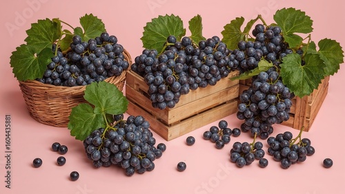 Wallpaper Mural Ready-to-eat fresh grapes arranged in containers on a pink background. Emphasizing healthy and vegan nutrition. Torontodigital.ca