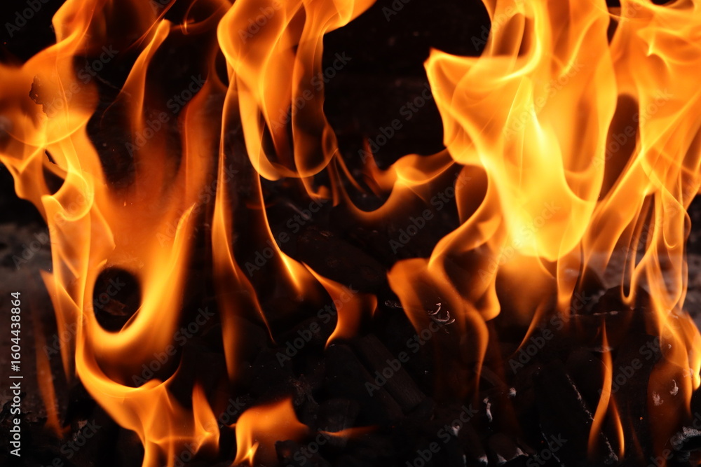 Fototapeta premium fire