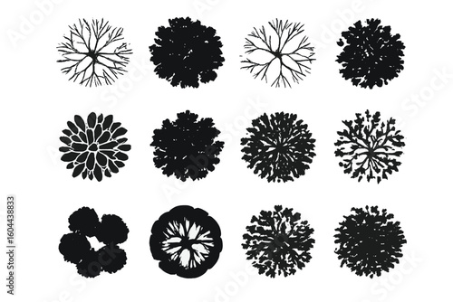 Set of tree top view silhouettes for landscape design and architectural plan. Collection of black isolated vector plant and tree symbols for nature or park concepts.