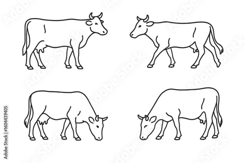 Cow line art set vector illustration. Collection of farm animal icons. Cattle in different poses, standing and grazing. For agriculture, dairy, milk, beef and livestock concepts.