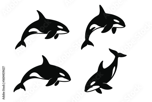 Orca killer whale silhouette vector set. Collection of 4 dynamic black and white marine mammal icons. Isolated graphic shapes for ocean life, sea animal designs, tattoo art.