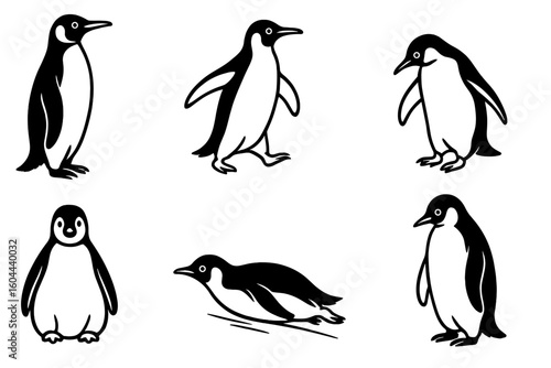 Penguin characters set in various poses. Cute arctic animal collection. Standing, walking, sliding bird. Black and white line art wildlife vector illustration icon.