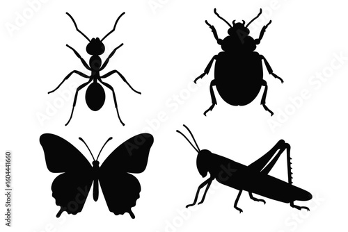 Insect silhouette collection with diverse bug species. Vector set including ant, butterfly, beetle, and grasshopper. Black isolated icons for entomology or nature projects.