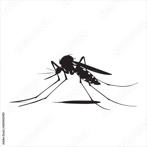 Detailed black and white illustration of a mosquito