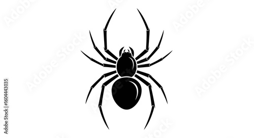 Elegant Spider Silhouette Illustration on a Plain White Backdrop for a Clear Artistic Statement