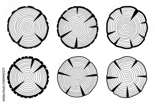 A set of six monochrome tree trunk cross sections with annual rings and radial cracks on white background