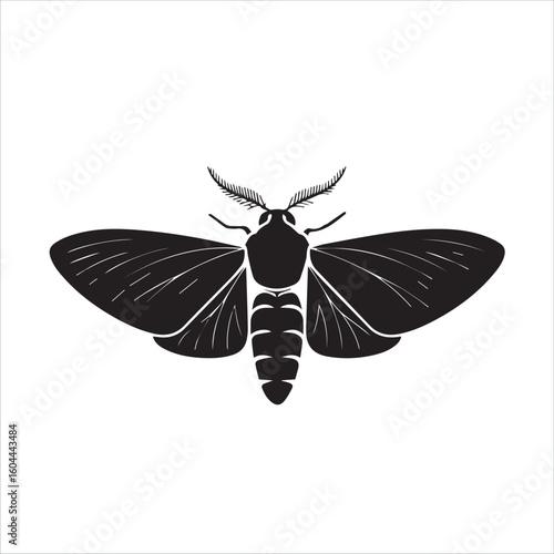 Detailed black silhouette of a moth with textured wings