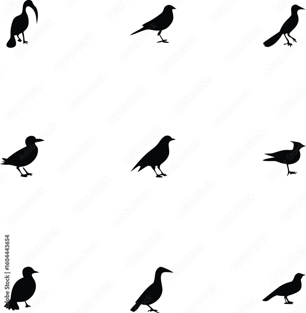 Fototapeta premium Collection of various bird silhouettes in different poses silhouette