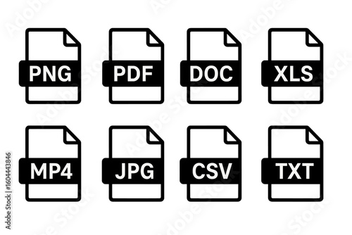 File format icons set. Vector collection of PNG, PDF, DOC, XLS, MP4, JPG, CSV, TXT document symbols. Black pictograms for web & app design on transparent background.