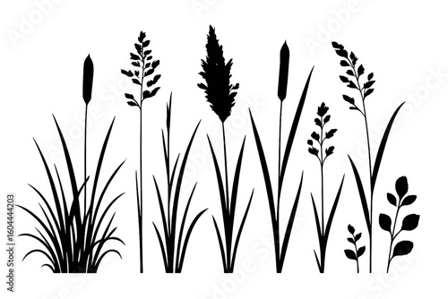 Set of grass and reed silhouettes. Vector illustration collection of various wild plants isolated on a transparent background. Botanical design elements for nature, meadow, or swamp.
