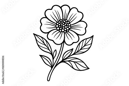 Hand drawn flower outline illustration. Black and white floral line art for coloring pages and anti-stress books. Elegant botanical vector sketch. Simple plant doodle for design.