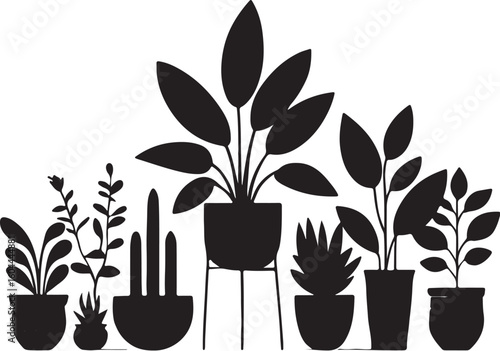 Various potted plants silhouette black and white houseplants
