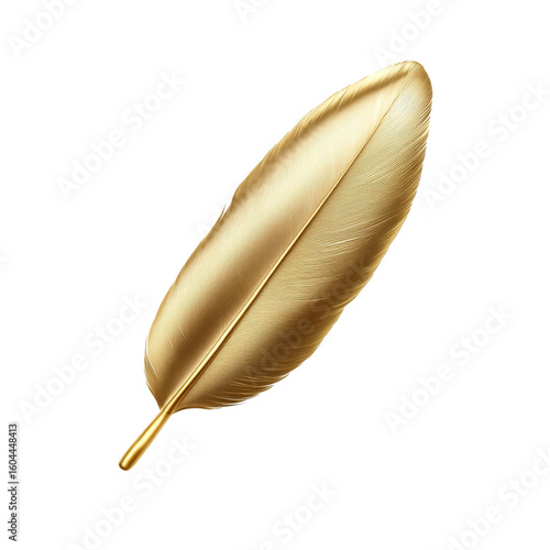 Elegant shiny gold feather on black background
