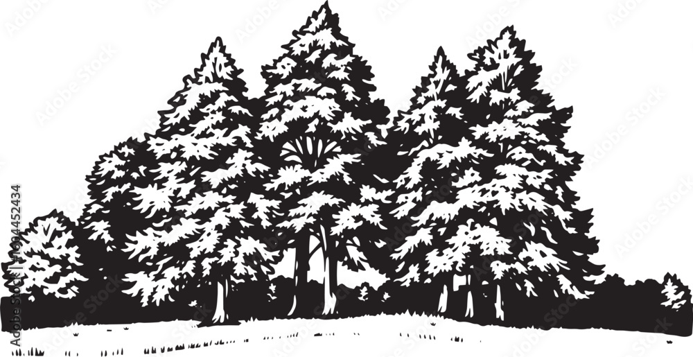 Fototapeta premium Forest landscape. Hand drawn vector illustration