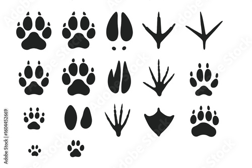 Animal paw, hoof, and bird print vector set – diverse wildlife footprints icons featuring dog cat bear deer hoof duck webbed bird tracks, educational nature study poster