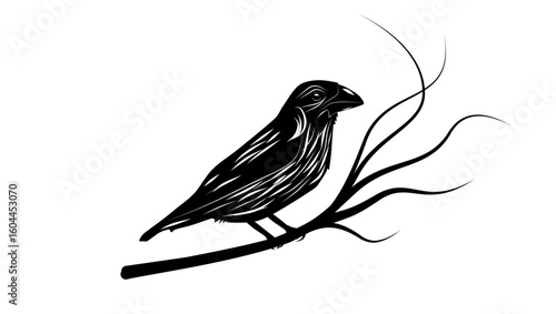 Bonin Grosbeak bird, black isolated silhouette