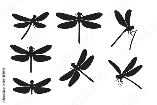 Dragonfly silhouettes collection in flight, resting, perched poses isolated on transparent background, insect vector illustration set for wildlife design, pattern decoration