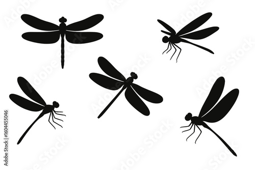 Dragonfly silhouettes set in flight and rest, elegant insect icons, black damselfly shadow collection, vector art for patterns, nature themes, entomology decor, isolated on transparent PNG