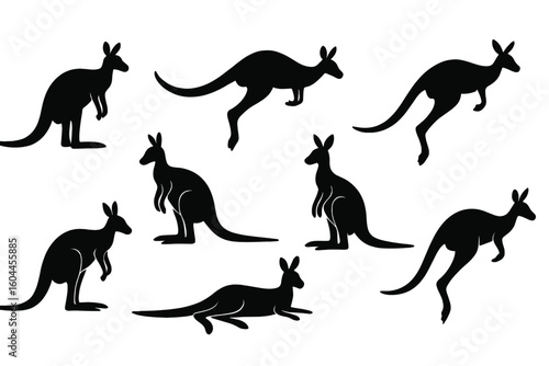 Kangaroo silhouettes collection — jumping, standing, sitting, reclining marsupial poses, Australian wildlife icon set, black vector cut-out animals on transparent background, versatile stock graphic