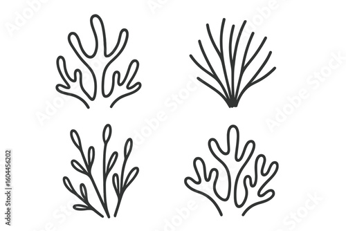 Minimalist coral and seaweed silhouettes set. Hand drawn marine algae outline icons. Linear underwater plant shapes. Vector illustration isolated on transparent background