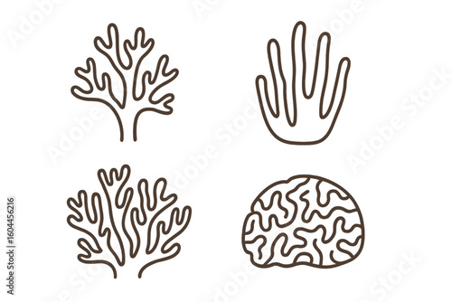 Minimalist coral outline icons set with staghorn, finger, brain and soft seaweed silhouettes, hand-drawn linear marine reef illustration collection perfect for beach logos and eco posters