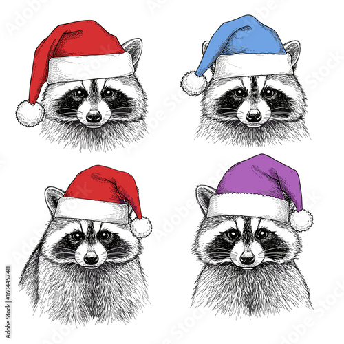 Raccoon in blue Santa hat, raccoon in purple Santa hat, raccoon in red Santa hat – black and white vintage engraving sketch, retro hand‑drawn illustration isolated on white, Christmas clipart.