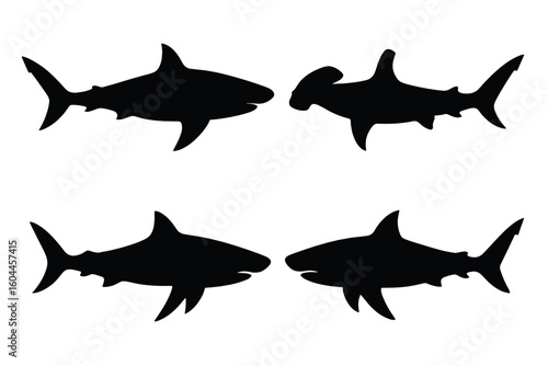 Shark silhouette collection vector set. Great white hammerhead tiger bull sharks black silhouettes marine predators isolated transparent background wildlife