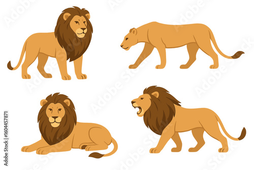 Lion vector set wild big cats different poses roaring standing lying walking male female mane cartoon illustration mascot character design wildlife predator