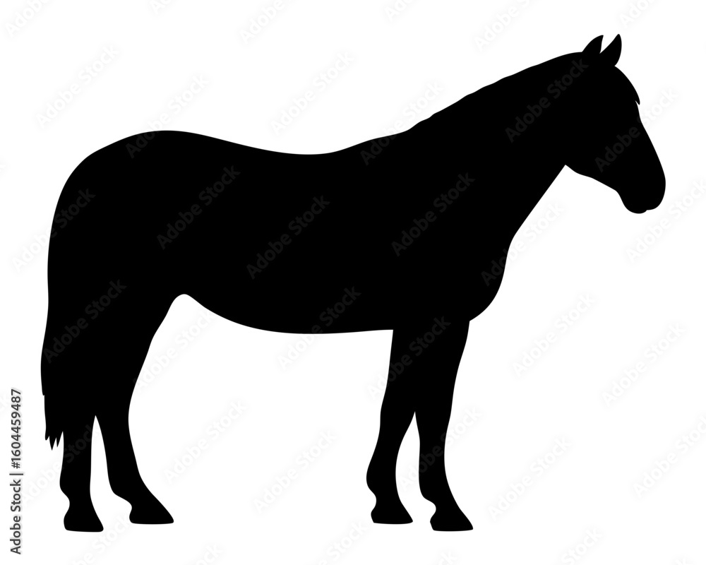 Obraz premium Black silhouette of a calm horse standing on white background vector illustration