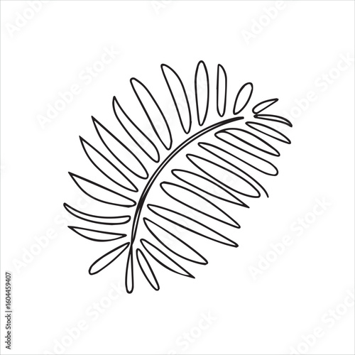 Elegant single line drawing of a fern frond