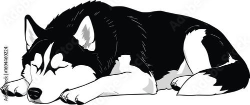 Adorable husky sleeping peacefully, black and white illustration, perfect for pet lovers and animal artwork decorAdorable husky