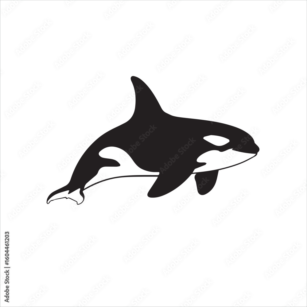 Fototapeta premium Stylized black and white orca killer whale illustration