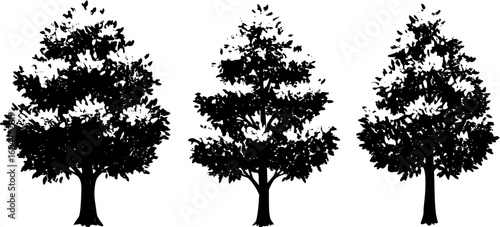 Green tree silhouette in forest grove abstract vector illustration, bush shrubbery element. Pastel crayon design, pencil texture, flat line, grunge figure, simple nature icon, eco landscape, scribble