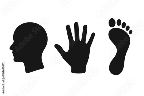 Human Head Silhouette, Handprint, and Footprint Vector Set. Black Profile Face Outline, Palm, Toes. Isolated Body Parts Silhouette Icon Collection. Anatomy Symbol. Transparent Background Illustration.