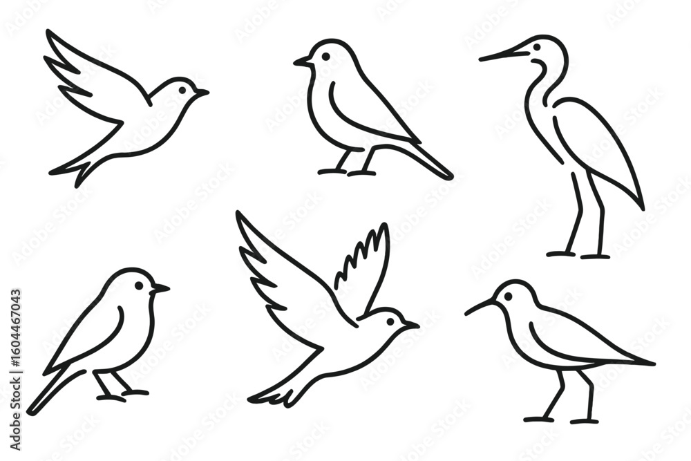 Minimalist bird sketches. Various species of birds in dynamic poses. Vector illustration icon set for logo design. Simple line art drawing collection on white background.