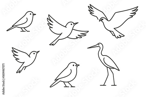Bird icon set in a minimalist line art style. Collection of various birds like dove, heron, and sparrow in dynamic flying and standing poses. Vector illustration for a logo.