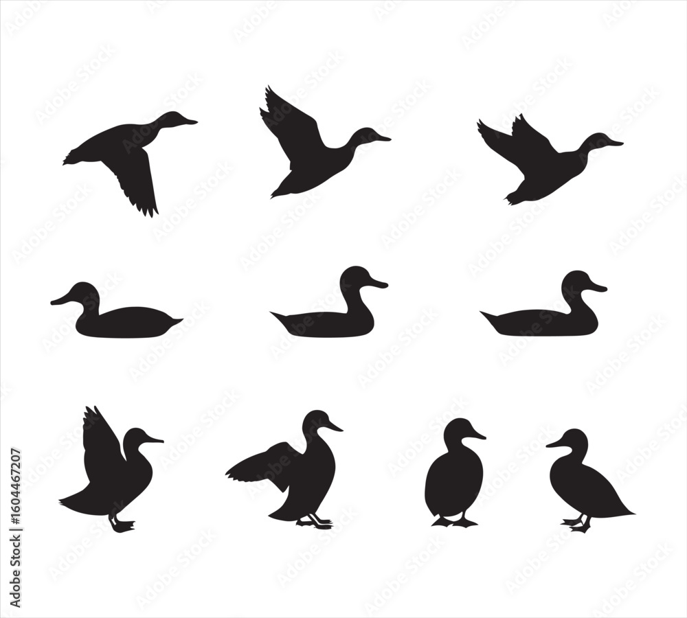 Fototapeta premium set of silhouettes of birds