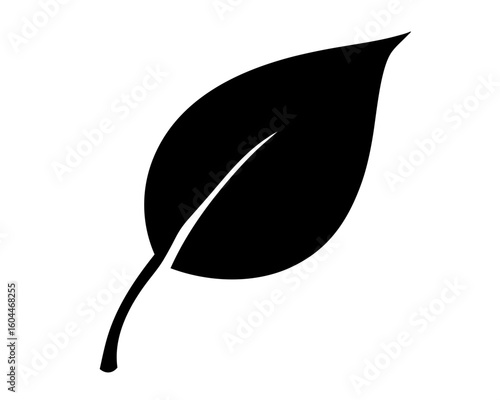 Single black leaf with central vein on a white background illustration