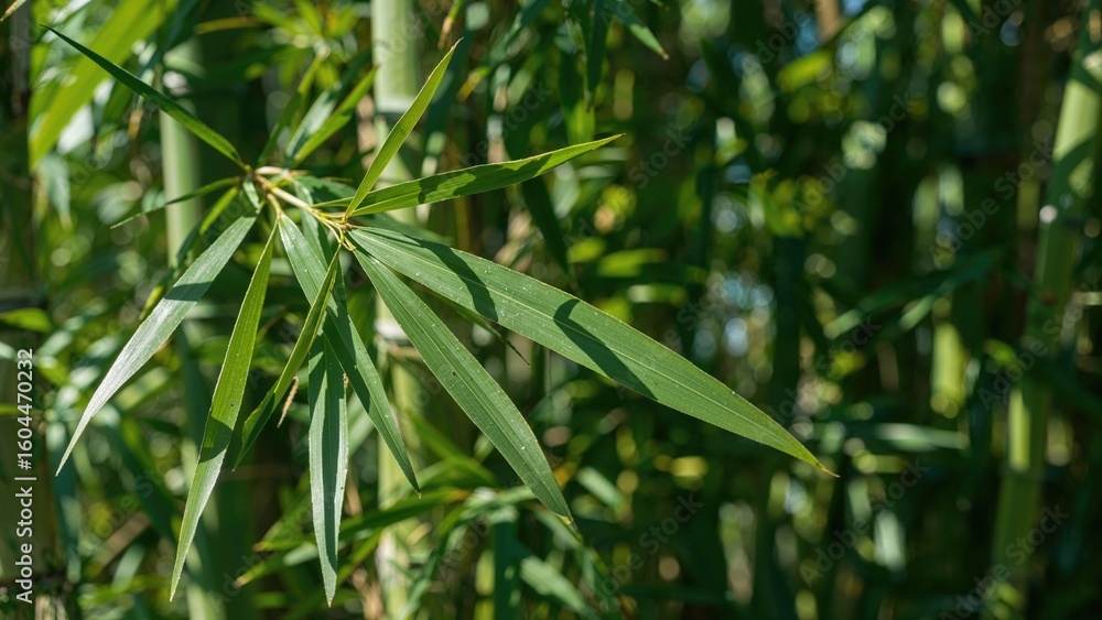 Naklejka premium Detailed shot of vibrant green bamboo foliage in daylight