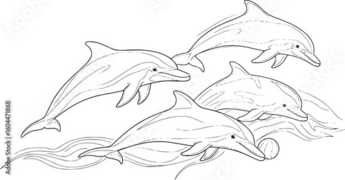 dolphin with a ball on its nose, black and white image, simple and elegant, line art style, vector illustration
