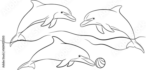 dolphin with a ball on its nose, black and white image, simple and elegant, line art style, vector illustration