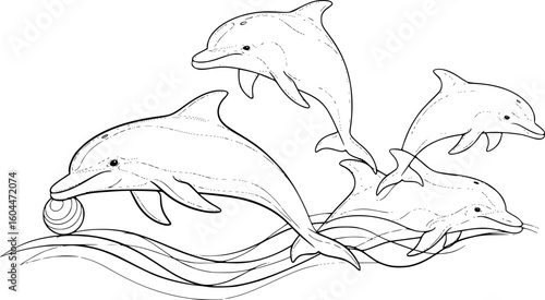 dolphin with a ball on its nose, black and white image, simple and elegant, line art style, vector illustration