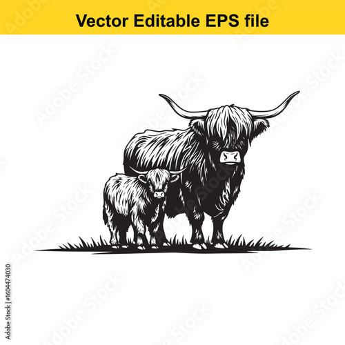 A highland cow and calf stand together in a grassy field illustration