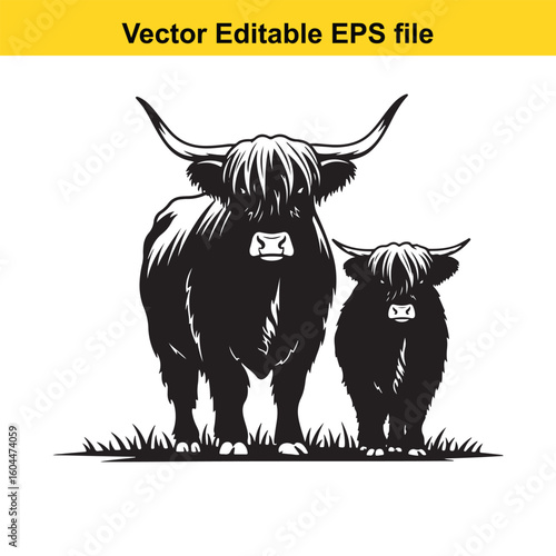 A highland cow and calf stand together in a grassy field illustration