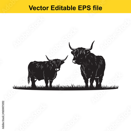 A highland cow and calf stand together in a grassy field illustration