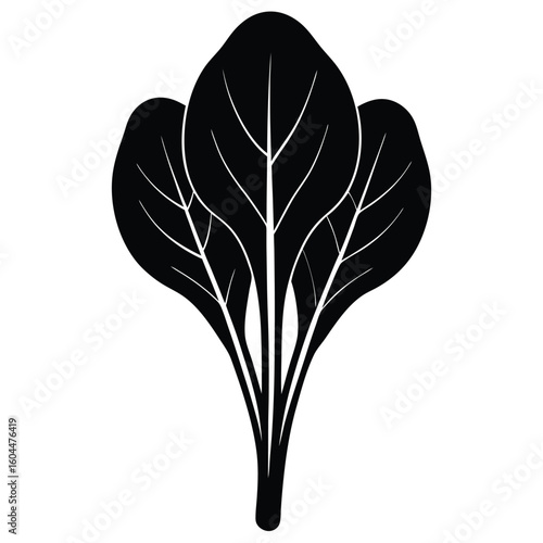 Nutritionist element isolated spinach on white background
