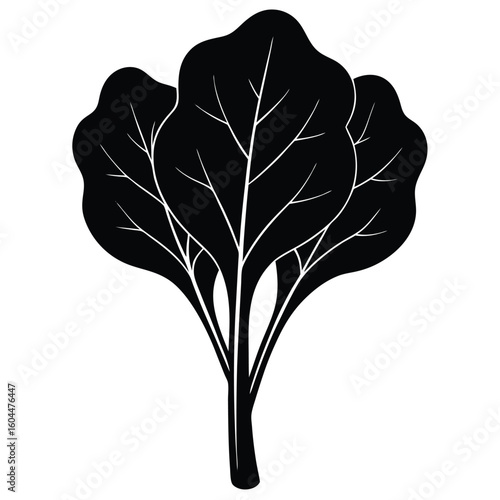 Nutritionist element isolated spinach on white background