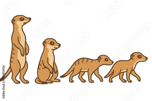 Meerkat Vector Illustration Set—Standing, Sitting, Walking Animal Poses for Wildlife Design, Zoo Pattern, Educational Projects, Children’s Content, Transparent Background