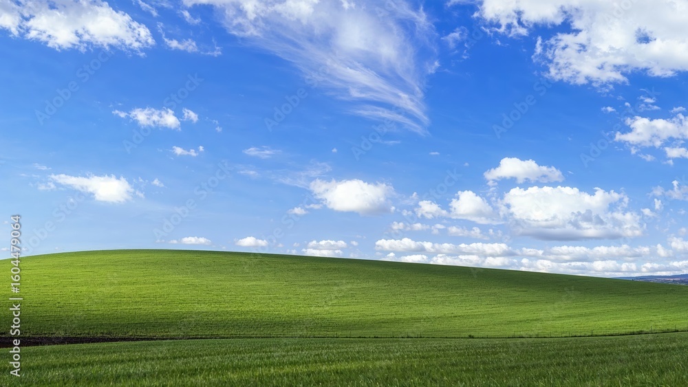 Obraz premium An abstract wide-angle view showcasing lush grass, ancient stone arches, and soft white clouds under a vibrant blue sky. Leading-edge simplicity in display design