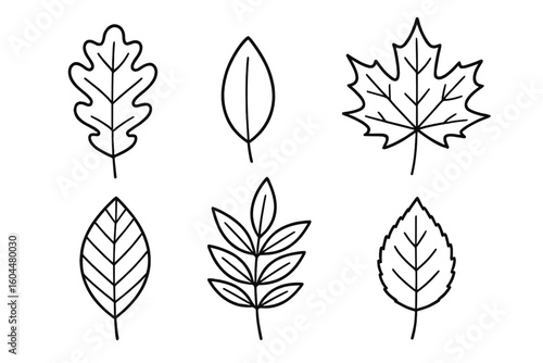 Autumn leaves set outline. Simple doodle leaf collection. Line art icons for coloring book. Hand drawn vector illustration. Oak, maple, ash foliage. Minimalist nature symbols.